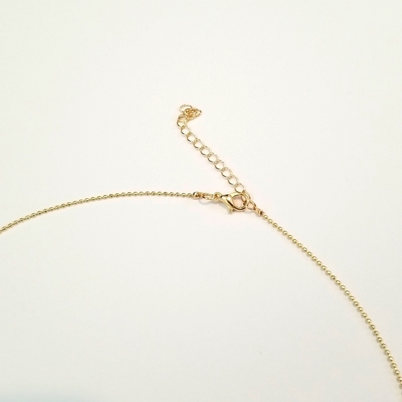 Zodiac Coin Necklace (Sagittarius) - Picture 3 of 5